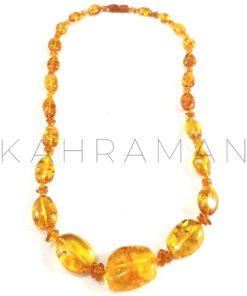 Pure Amber Necklace with Insects BC0052